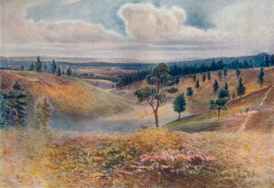 Uitzicht vanaf Beacon Hill, Hindhead, 1911, 1914 door James S Ogilvy