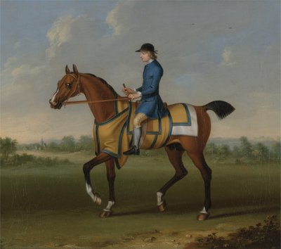 Een Bruin Renpaard met Jockey door James Seymour