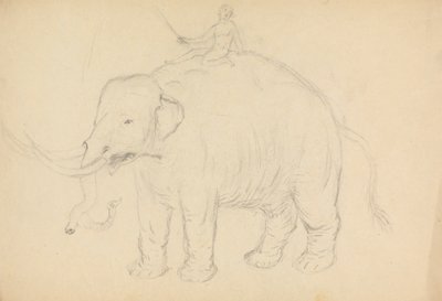 Olifant met ruiter door James Sowerby