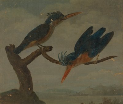 Twee ijsvogels naast een meer door James Sowerby