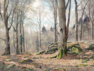 Een Wels Hout door James Thomas Watts