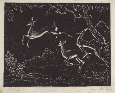 Vlucht door James W. Reid
