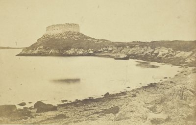 Fort Dumplings door James Wallace Black