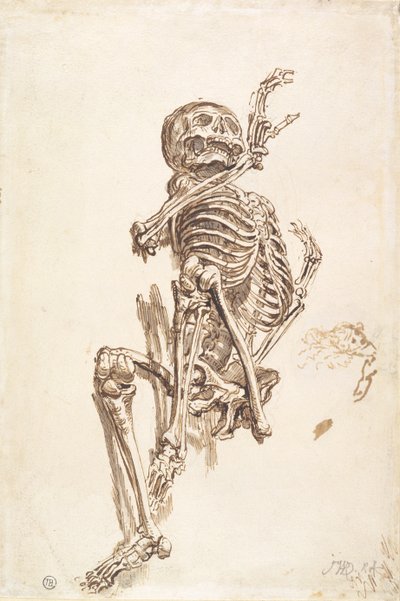 Een Menselijk Skelet (recto) door James Ward
