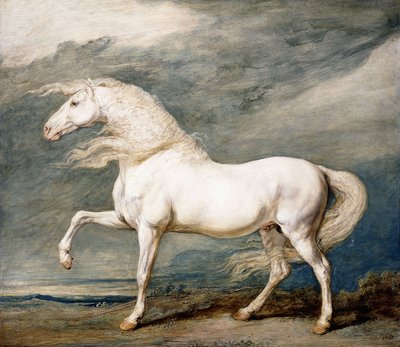 Adonis, het favoriete paard van koning George III door James Ward