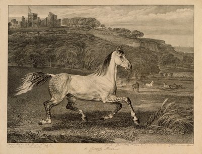 Kozakkenpaard, uit Beroemde paarden, een set van veertien raceprenten gepubliceerd door de kunstenaar, 1823-24 door James Ward