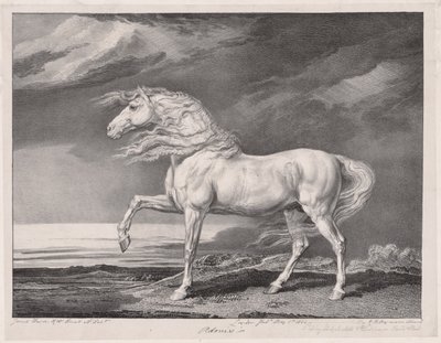 Veertien beroemde paarden: Adonis, 1824 door James Ward