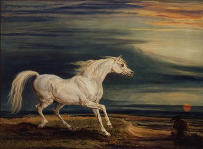 Marengo, het Arabische paard, bereden door Napoleon Bonaparte bij de Slag van Waterloo door James Ward