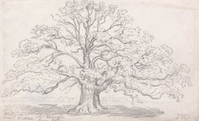 De grote eik van meneer Howard, 5 augustus 1820 door James Ward