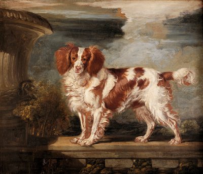 Portret van Dash, een favoriete spaniël, eigendom van Lady Frances Vane-Tempest door James Ward