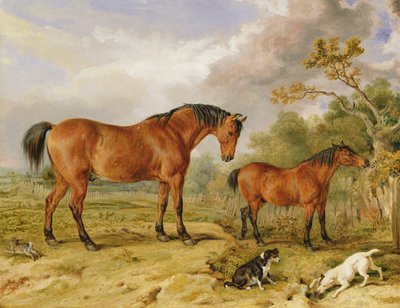 Portret van hervormer Blucher, Tory en Crib, eigendom van Rowland Alston, Esq. door James Ward