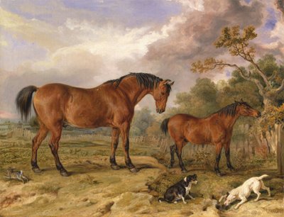 Portret van Reformer, Blucher, Tory en Crib, het eigendom van Rowland Alston, Esq., M.P. door James Ward