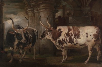 Portretten van twee buitengewone ossen, eigendom van de graaf van Powis door James Ward