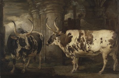 Portretten van twee buitengewone ossen, eigendom van de Graaf van Powis door James Ward