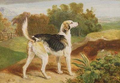 Ravager, een van de Lambton-honden door James Ward