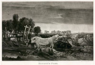 Regent