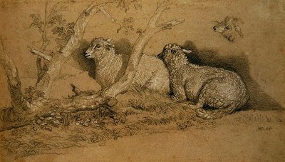 Schapen rustend in een beboste kreupelbos en een studie van het hoofd van een schaap door James Ward