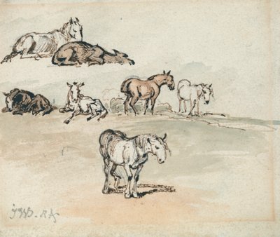Studies van Paarden door James Ward