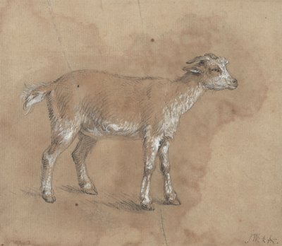 Studie van een geitje door James Ward