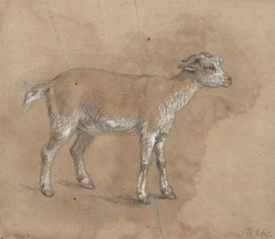 Studie van een kind door James Ward
