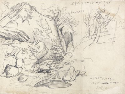 Studie van een berg met bomen door James Ward