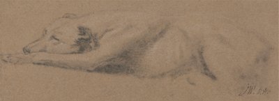 Studie van een slapende hond door James Ward