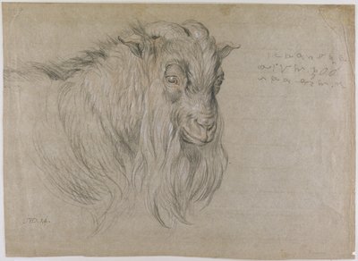 Studie van het Hoofd van een Ram door James Ward