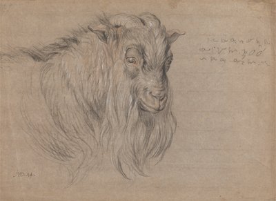 Studie van het hoofd van een ram door James Ward