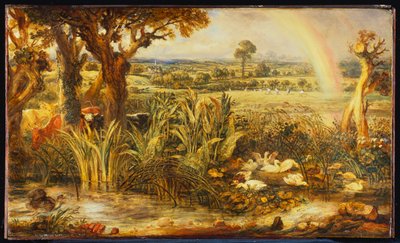 De regenboog door James Ward