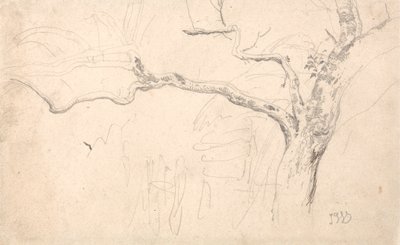 Boomstudie door James Ward