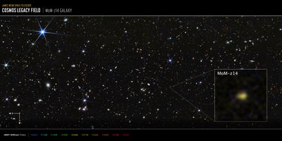 COSMOS-veld, sterrenstelsel op MoM-z14 (opname met NIRCam) door James Webb Space Telescope (NASA)