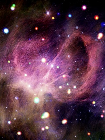 IC 348 (Webb + Chandra) door James Webb Space Telescope (NASA)