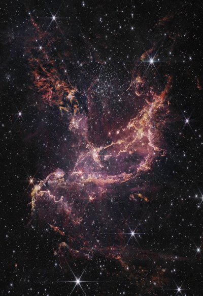 NGC 346 (NIRCam Beeld) door James Webb Space Telescope (NASA)