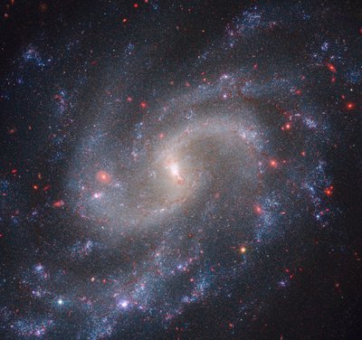 NGC 5584 (Webb NIRCam + Hubble WFC3) door James Webb Space Telescope (NASA)