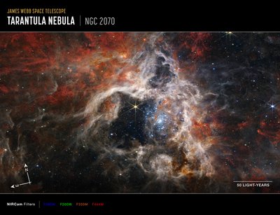 Tarantulanevel door James Webb Space Telescope (NASA)