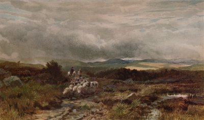 Bergweg, Capel Curig, Noord-Wales door James William Whitaker
