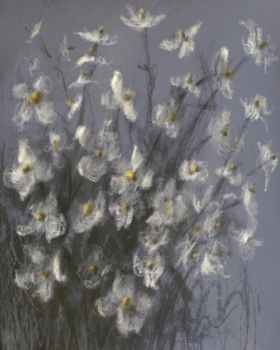 Dromerige witte bloemen door James Zamora