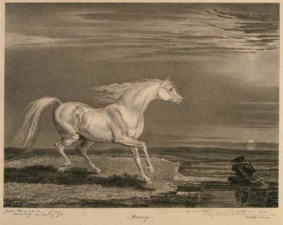 Marengo, uit Beroemde paarden, een set van veertien raceprenten gepubliceerd door de kunstenaar, 1823-24 door James after Ward