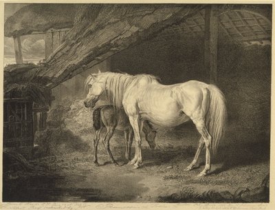 Primrose en veulen, uit Beroemde paarden, een set van veertien raceprenten gepubliceerd door de kunstenaar, 1823-24 door James after Ward