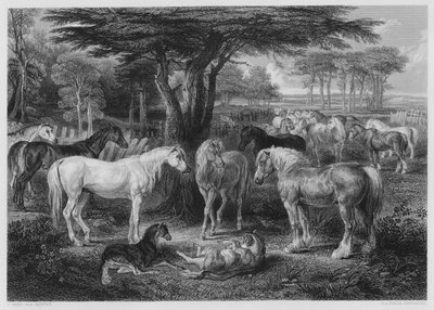 De Raad van Paarden, uit het schilderij in de Vernon Gallery door James after Ward
