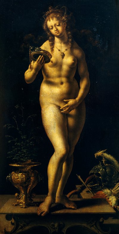 Venus door Jan (c.1472 c.1533) Gossaert