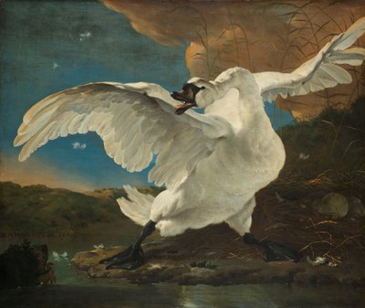 De bedreigde zwaan door Jan Asselijn