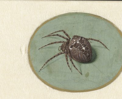 Spin door Jan Augustin van der Goes