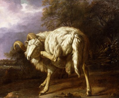 Een ram in een bebost landschap door Jan Baptist Weenix
