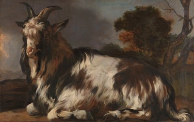 Liggende geit door Jan Baptist Weenix