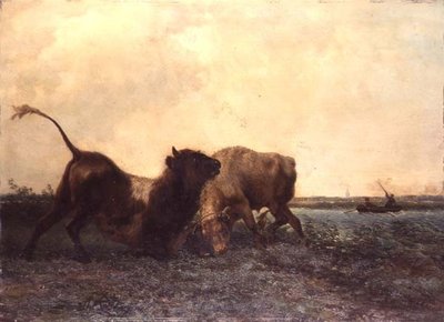 Vechtende Stieren door Jan Bedys Tom