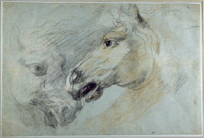 Twee studies van een paardenhoofd door Jan Boeckhorst