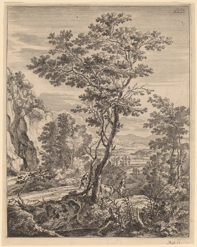 De grote boom door Jan Both