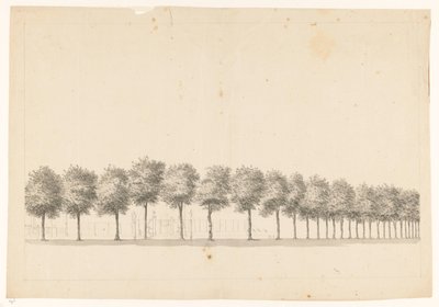 Bomenallee te Batavia door Jan Brandes