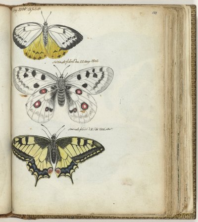 Indische vlinder en Zweedse vlinders door Jan Brandes